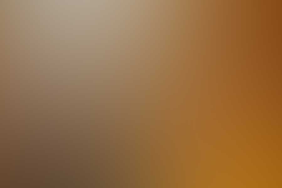 Free Restaurant Bootstrap Website