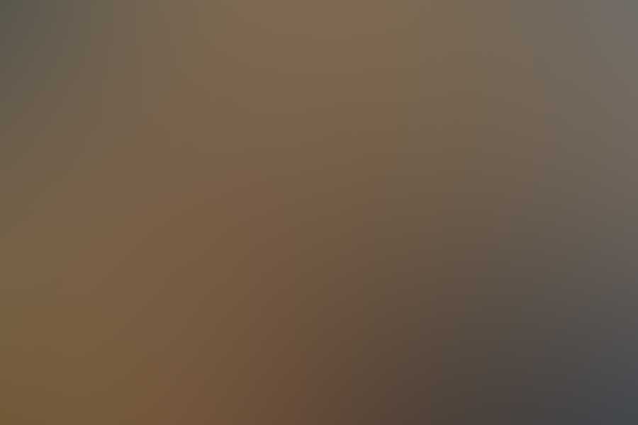 Free Restaurant Bootstrap Website
