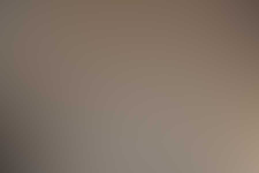 Free Restaurant Bootstrap Website